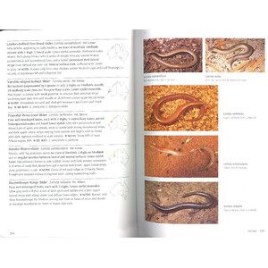 A COMPLETE GUIDE TO REPTILES OF AUSTRALIA 3