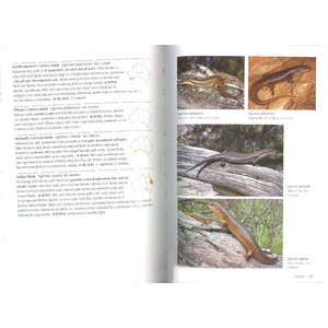A COMPLETE GUIDE TO REPTILES OF AUSTRALIA 4