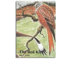 THE RED KITE