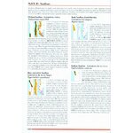 HELM FIELD GUIDES. BIRDS OF CHILE INCLUDING THE ANTARCTIC PENINSULA, THE FALKLAND ISLANDS AND SOUTH GEORGIA 4