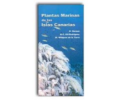 PLANTAS MARINAS DE LAS ISLAS CANARIAS