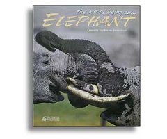 THE ART OF BEING AN ELEPHANT
