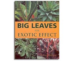 BIG LEAVES FOR EXOTIC EFFECT                                                                                                                          