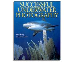 SUCCESSFUL UNDERWATER PHOTOGRAPHY