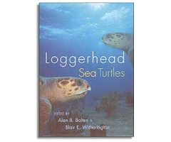 LOGGERHEAD SEA TURTLES                                                                                                                                