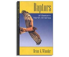 RAPTORS OF EASTERN NORTH AMERICA