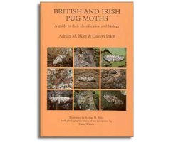BRITISH AND IRISH PUG MOTHS. A GUIDE TO THEIR IDENTIFICATION AND BIOLOGY                                                                              