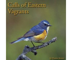 CD CALLS OF EASTERN VAGRANTS                                                                                                                          