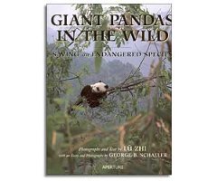 GIANT PANDAS IN THE WILD. SAVING AN ENDANGERED SPECIES