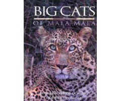 BIG CATS OF MALA MALA