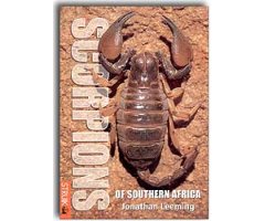 SCORPIONS OF SOUTHERN AFRICA