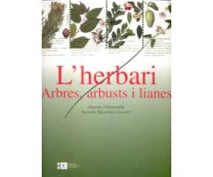 L'HERBARI. ARBRES, ARBUSTS I LIANES