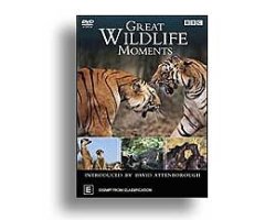 GREAT WILDLIFE MOMENTS. DVD
