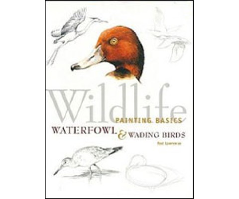 WILDLIFE PAINTING BASICS. WATERFOWL AND WADING BIRDS