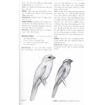 HELM FIELD GUIDES. BIRDS OF BELIZE 4