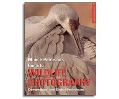 MOOSE PETERSON'S GUIDE TO WILDLIFE PHOTOGRAPHY. CONVENTIONAL AND DIGITAL TECHINIQUES