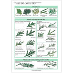 COLLINS TREE GUIDE. THE MOST COMPLETE FIELD GUIDE TO THE TREES OF BRITAIN AND EUROPE_1