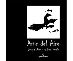 ARTE DEL AIRE                                                                                                                                         