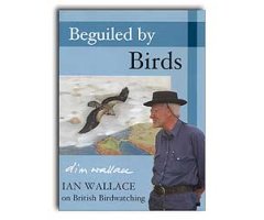 BEGUILED BY BIRDS