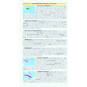 HELM FIELD GUIDES TO THE BIRDS OF THE WEST INDIES 4