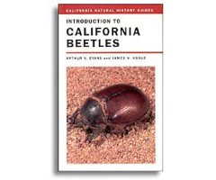 INTRODUCTION TO CALIFORNIA BEETLES