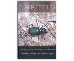 TIGER BEETLES. THE EVOLUTION, ECOLOGY AND DIVERSITY OF THE CICINDELIDS