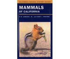 MAMMALS OF CALIFORNIA.