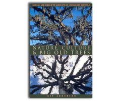 NATURE, CULTURE & BIG OLD TREES. LIVE OAKS AND CEIBAS IN THE LANDSCAPES OF LOUISIANA AND GUATEMALA