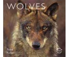 WORLDLIFE LIBRARY SPECIAL. WOLVES