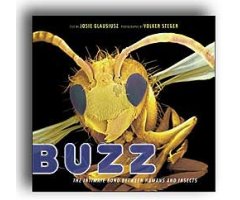 BUZZ. THE INTIMATE BOND BETWEEN HUMANS AND INSECTS                                                                                                    