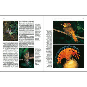 HANDBOOK OF THE BIRDS OF THE WORLD, VOL. 9. COTINGAS TO PIPITS AND WAGTAILS_1