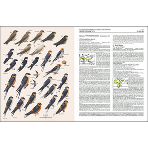 HANDBOOK OF THE BIRDS OF THE WORLD, VOL. 9. COTINGAS TO PIPITS AND WAGTAILS 4