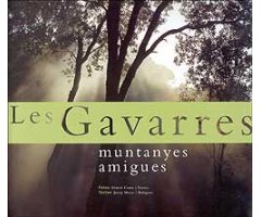 LES GAVARRES MUNTANYES AMIGUES