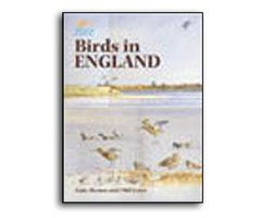 BIRDS IN ENGLAND                                                                                                                                      