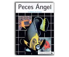 PECES ÁNGEL                                                                                                                                           