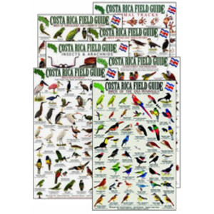 COSTA RICA FIELD GUIDE. SET OF 7 GUIDES