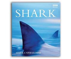 SHARK. WILDLIFE IN DANGER