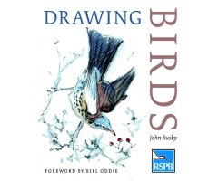DRAWING BIRDS