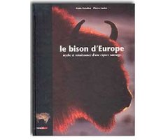 LE BISON D'EUROPE MYTHE ET RENAISSANCE D'UNE ESPÈCE SAUVAGE