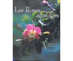 LES ROSES SAUVAGES