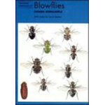 NATURALISTS' HANDBOOKS. Nº 23. BLOWFLIES