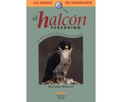 EL HALCÓN PEREGRINO                                                                                                                                   