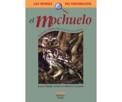 EL MOCHUELO                                                                                                                                           