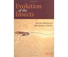 EVOLUTION OF THE INSECTS