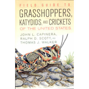FIELD GUIDE TO GRASSHOPEERS, KATYDIDS, AND CRICKETS OF THE UNITED STATES