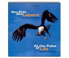 AT THE PULSE OF LIFE. ABOUT NATURE AND PHOTOGRAPHY