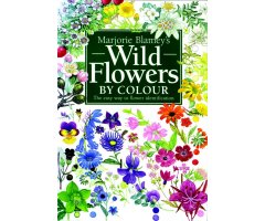 WILD FLOWERS BY COLOUR