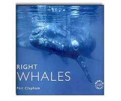 WORLDLIFE LIBRARY. RIGHT WHALES