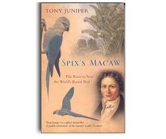 SPIX'S MACAW. THE RACE TO SAVE THE WORLD'S RAREST BIRD