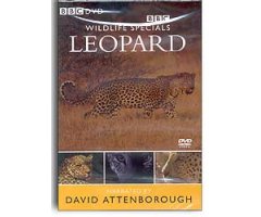 BBC DVD WILDLIFE SPECIALS. LEOPARD